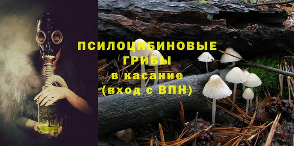 а пвп мука Алзамай