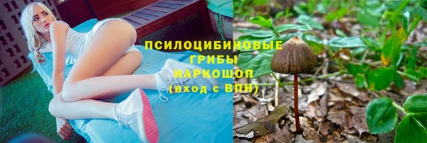 мескалин Алексин