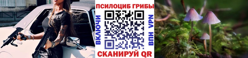 Галлюциногенные грибы Psilocybine cubensis магазин Анжеро-Судженск
